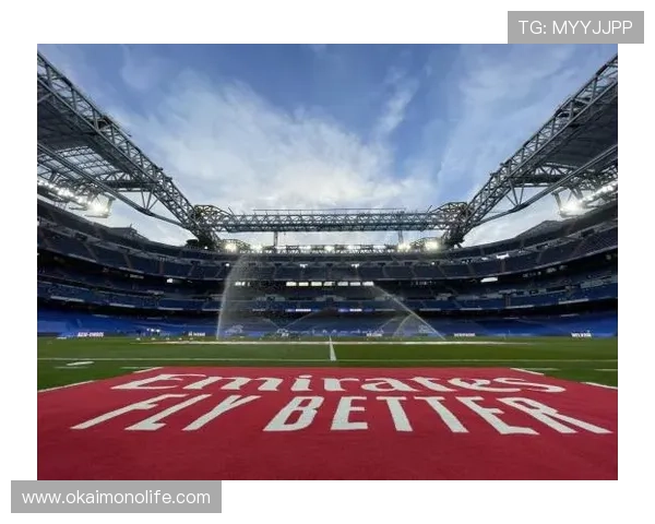 掌握开云体育下载入口的技巧:快速享受体育赛事直播